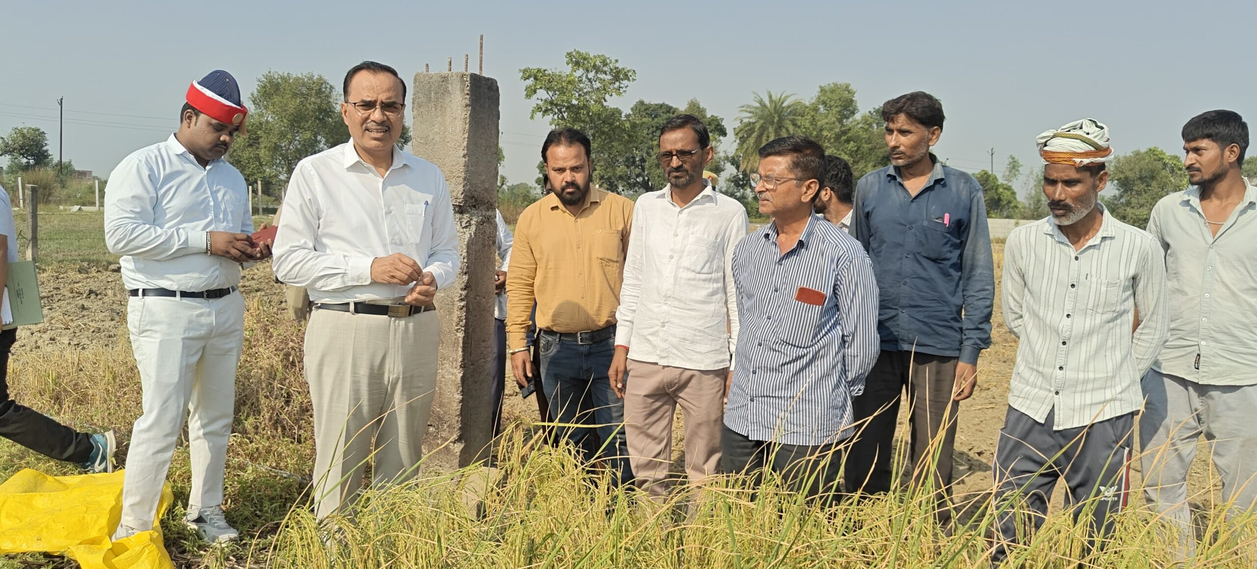 डीएम ने धान की फसल की क्रॉप कटिंग का निरीक्षण कर लिया जायजा